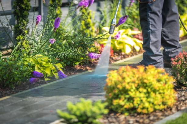 Best Sidewalk and Walkway Cleaning  in Linn, MO